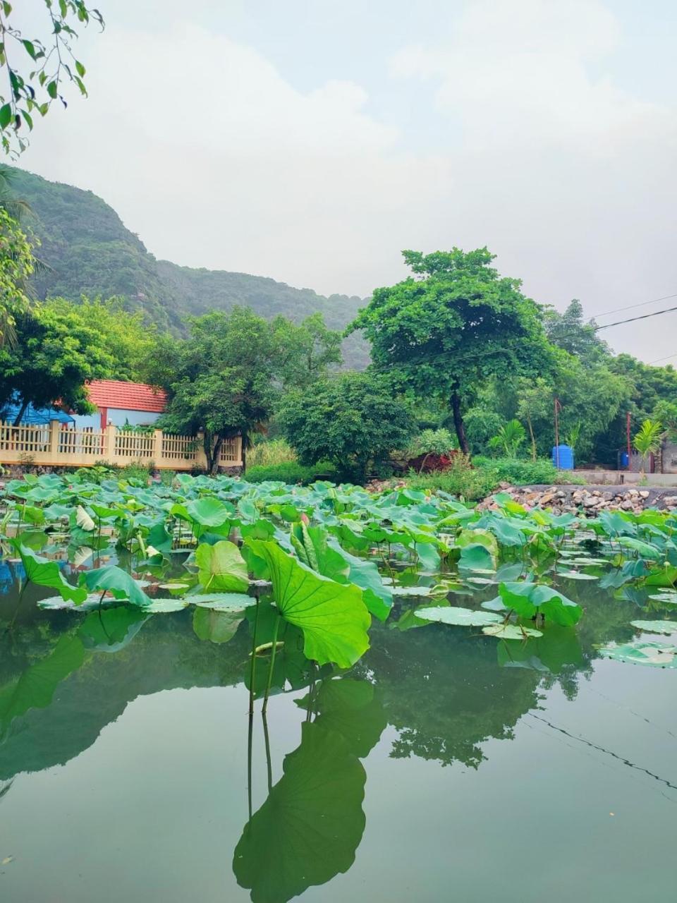Trang An Natural Mountainside Homestay Ninh Bình Ngoại thất bức ảnh