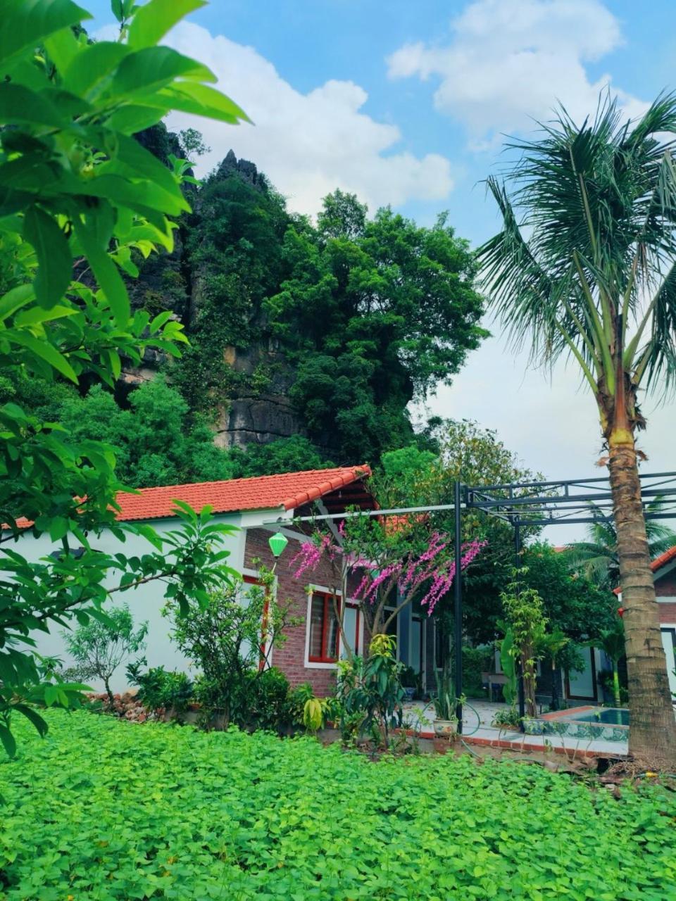 Trang An Natural Mountainside Homestay Ninh Bình Ngoại thất bức ảnh