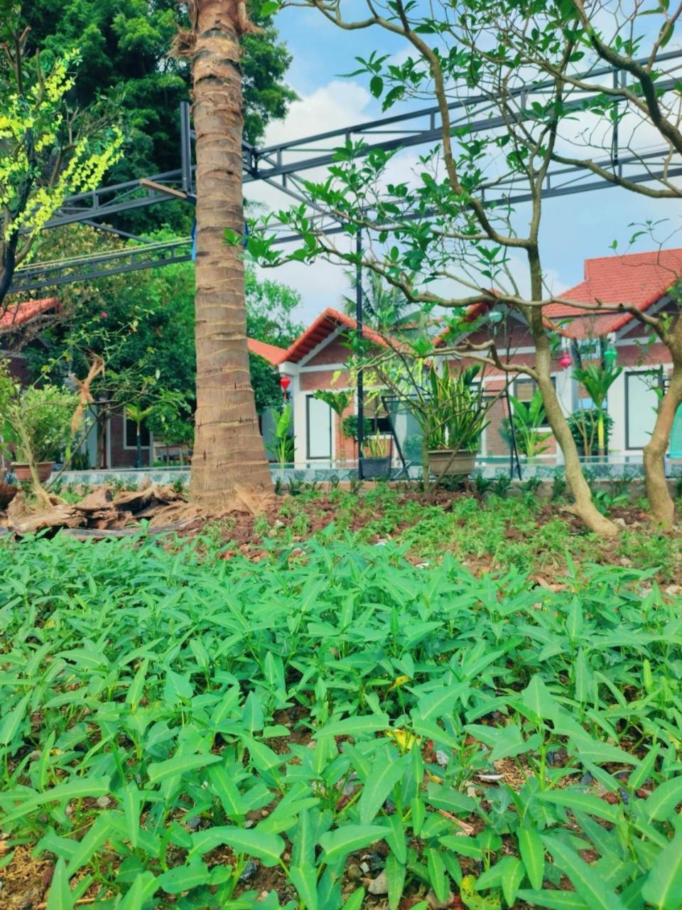 Trang An Natural Mountainside Homestay Ninh Bình Ngoại thất bức ảnh
