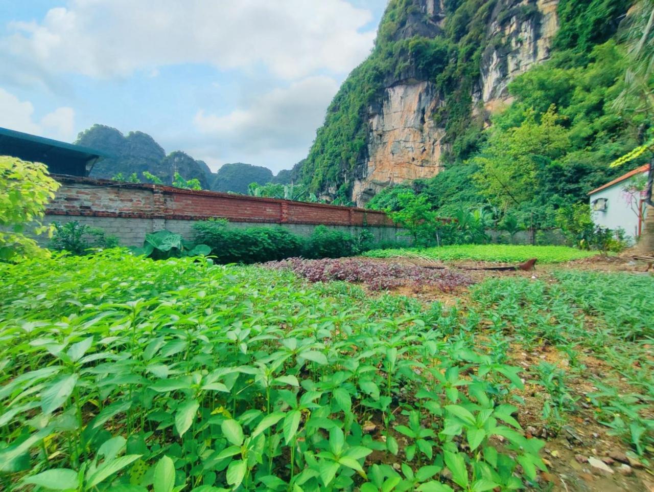 Trang An Natural Mountainside Homestay Ninh Bình Ngoại thất bức ảnh