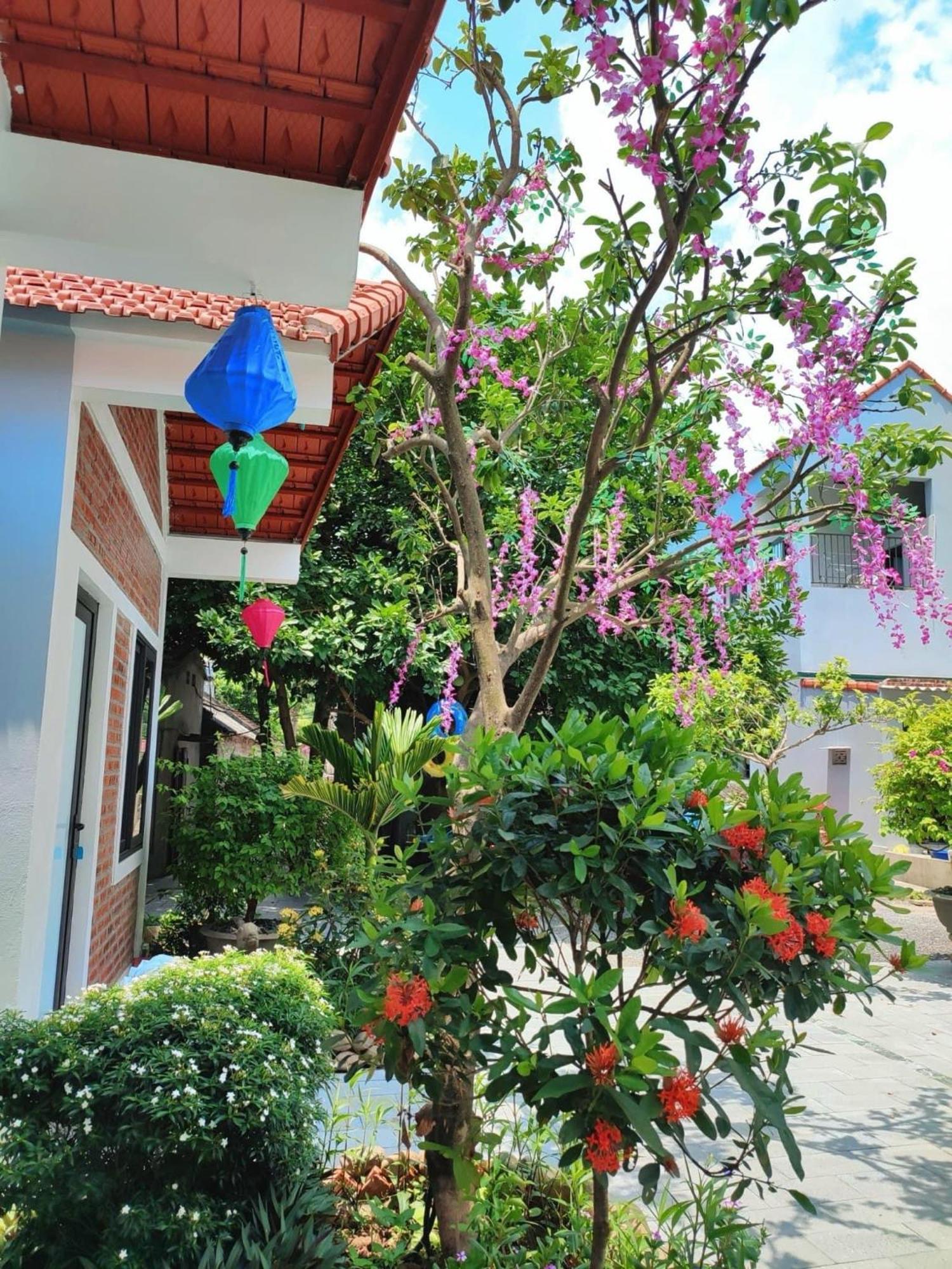 Trang An Natural Mountainside Homestay Ninh Bình Ngoại thất bức ảnh